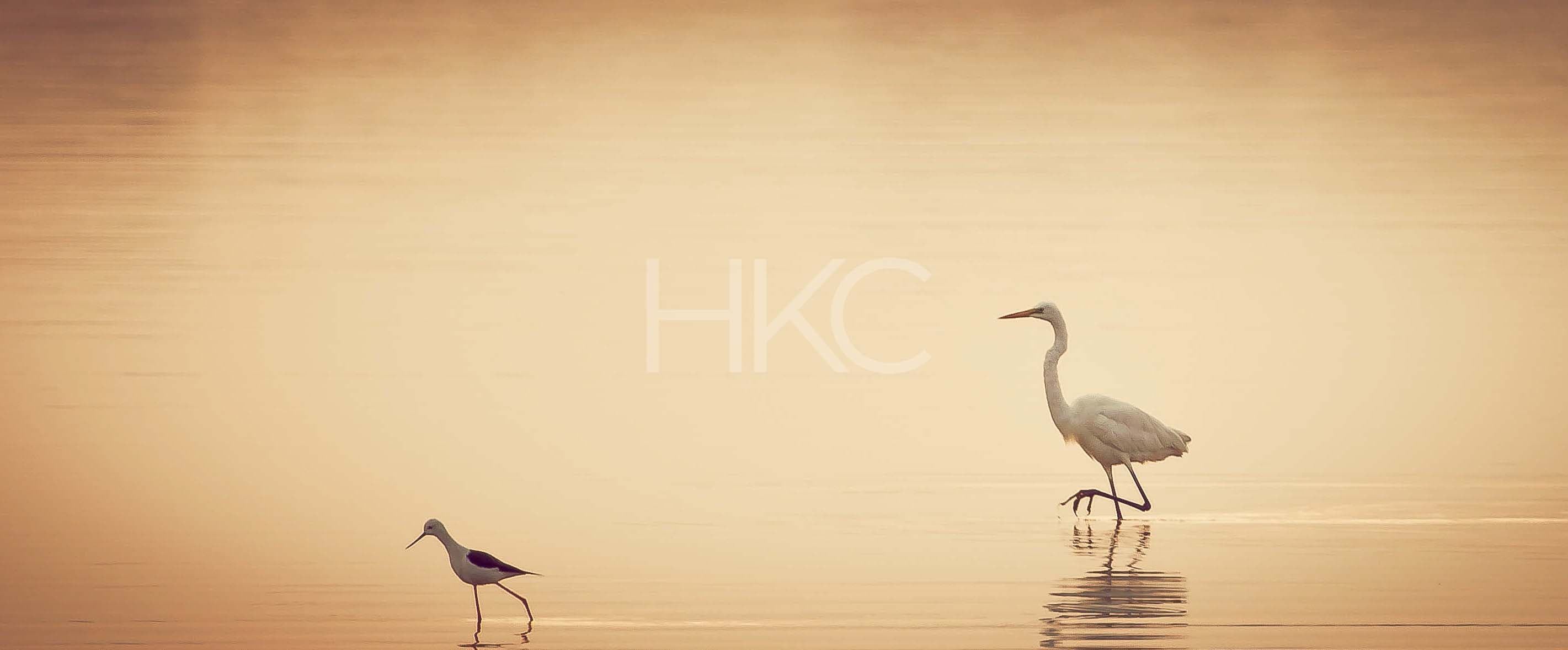Photography from Hari Kiran - image 5