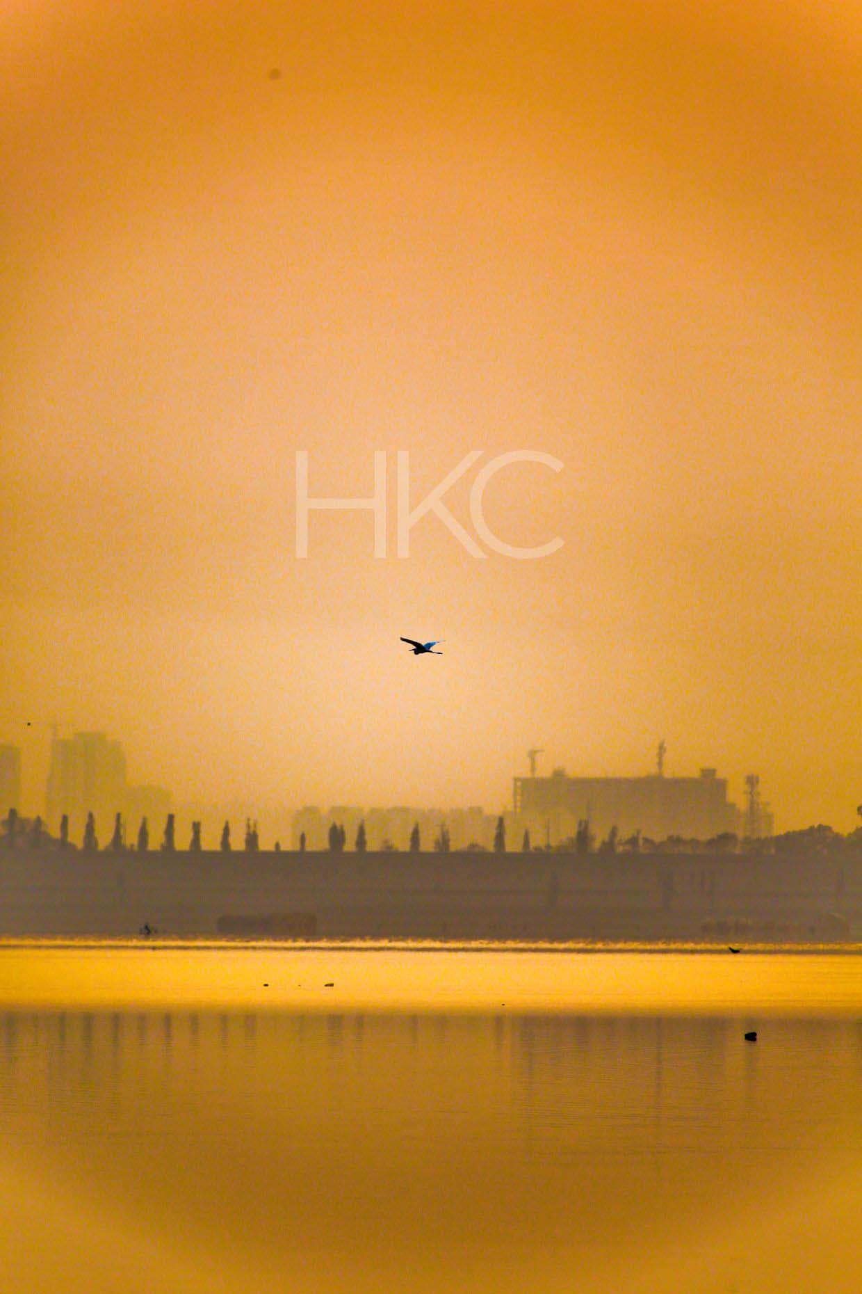 Photography from Hari Kiran - image 11