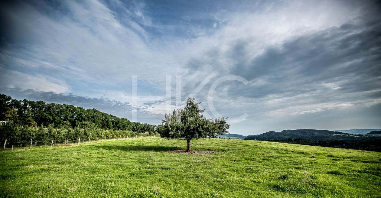 Photography from Hari Kiran - image 18