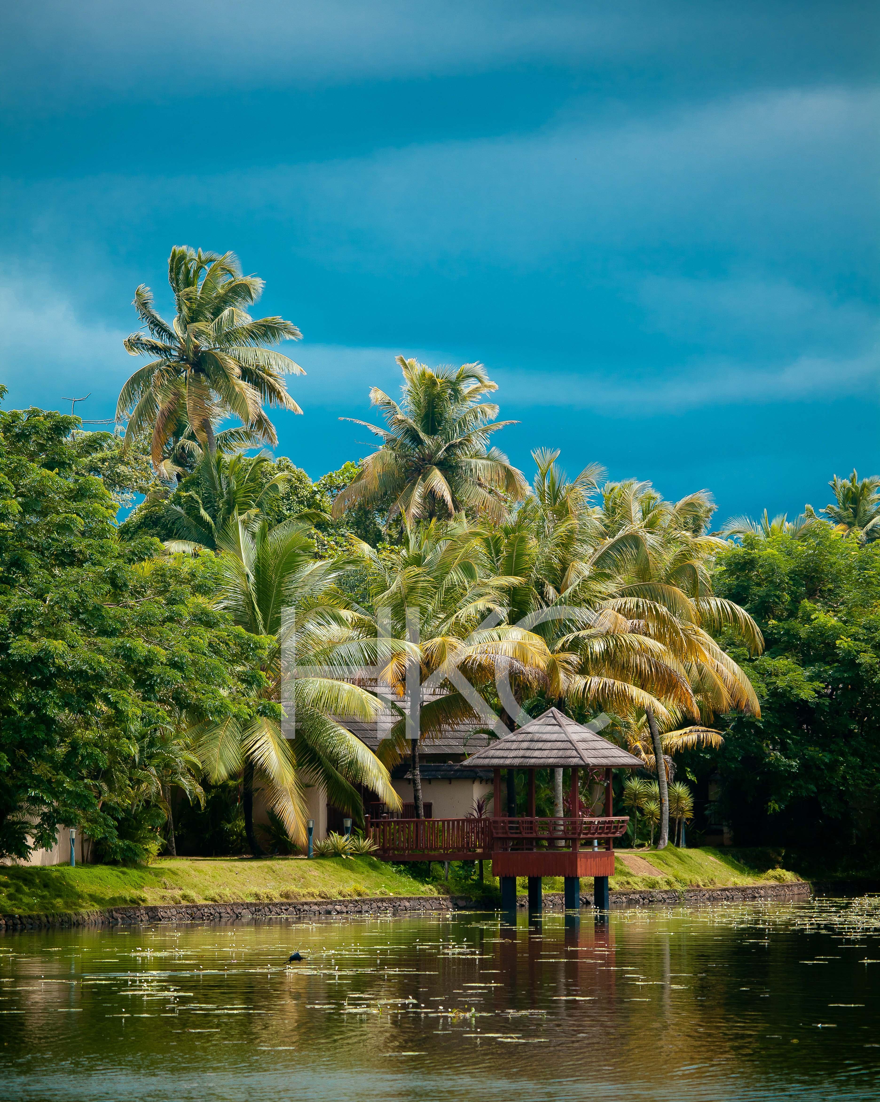 Photography from Hari Kiran - image 9